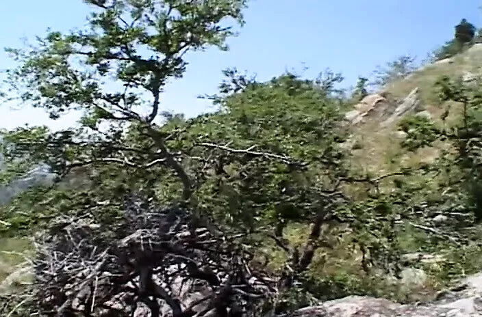 KINGS QUEENS PORN Vintage Challenge vol.