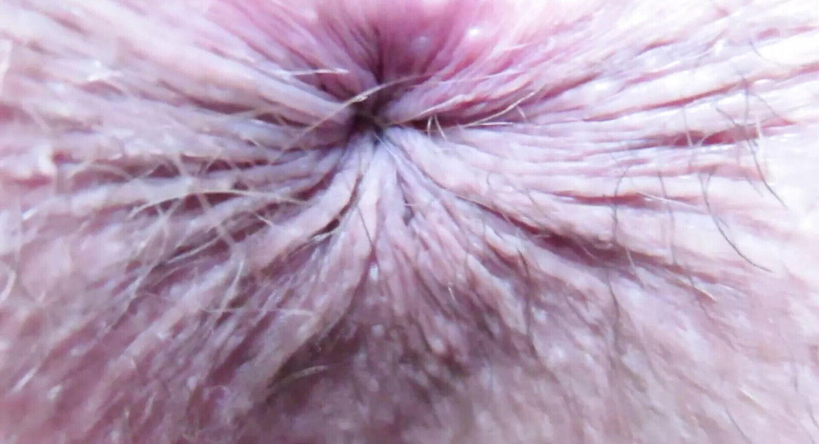 Asshole exteme closeup fetish