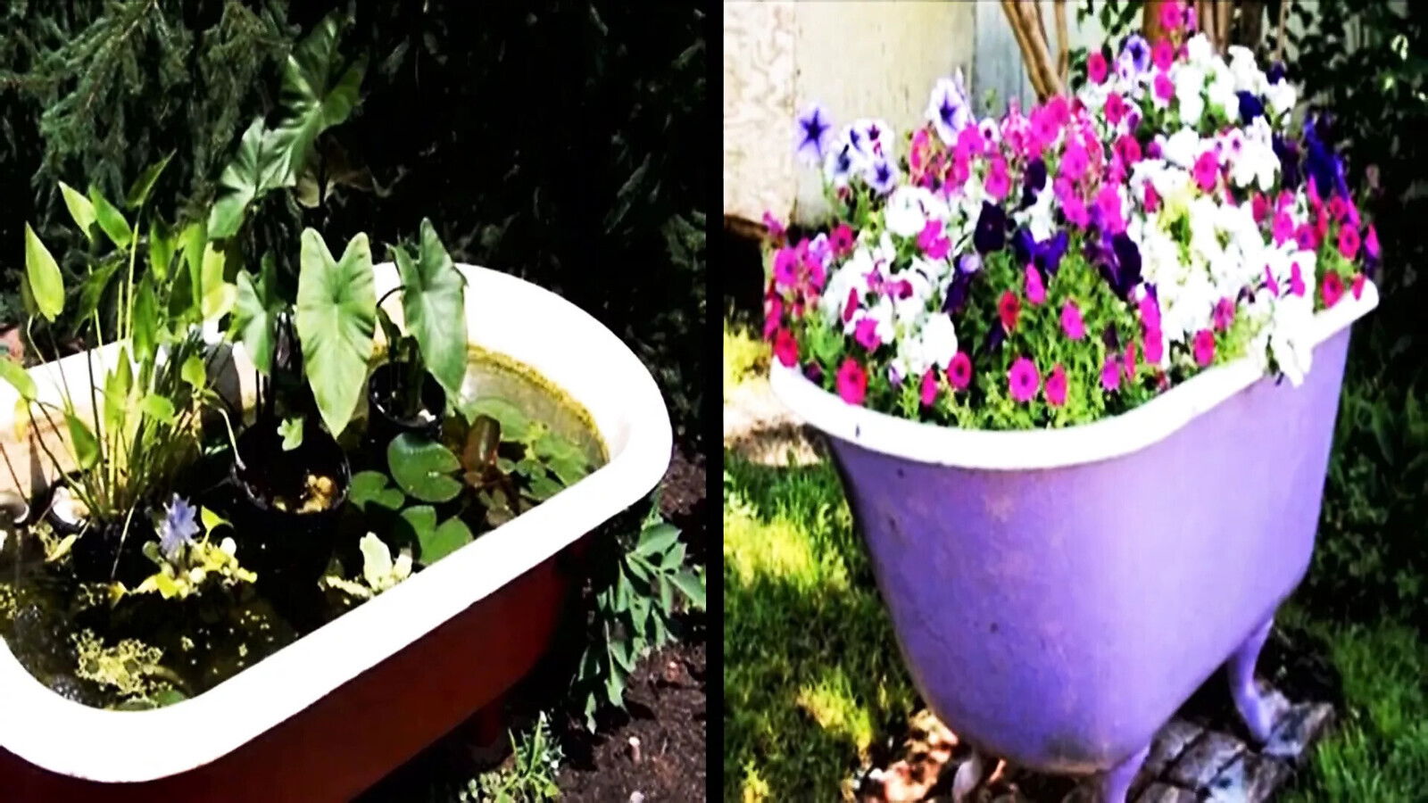 Bangla Choti golpo. story.