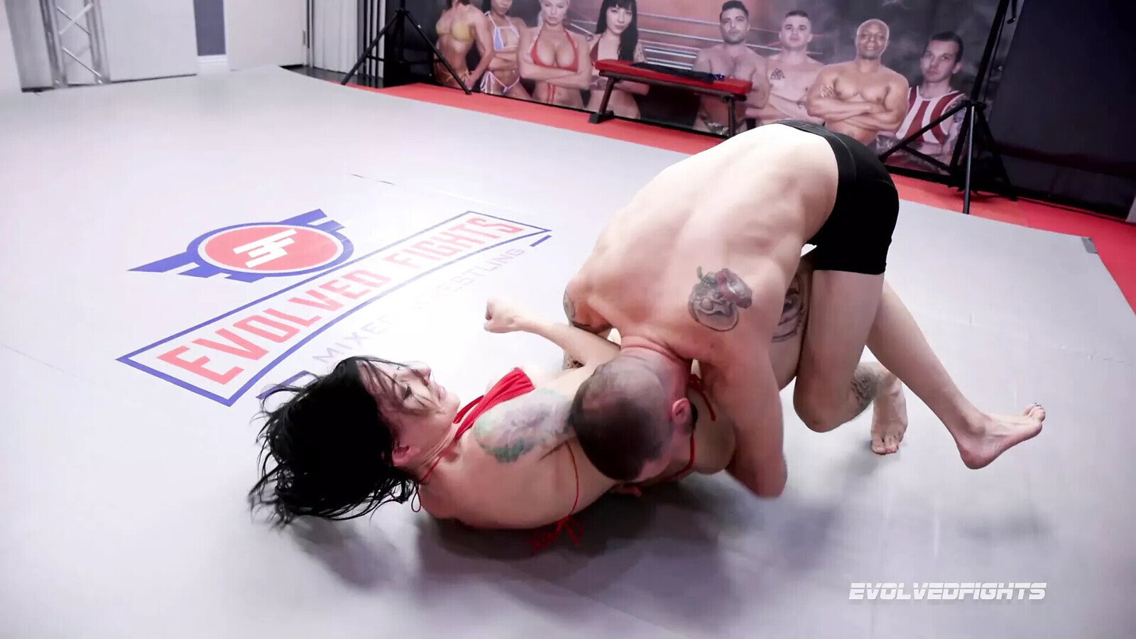 Agatha Delicious Cody Carter Cody Remain Unbeaten Drill Agatha's Pussy Doggystyle?