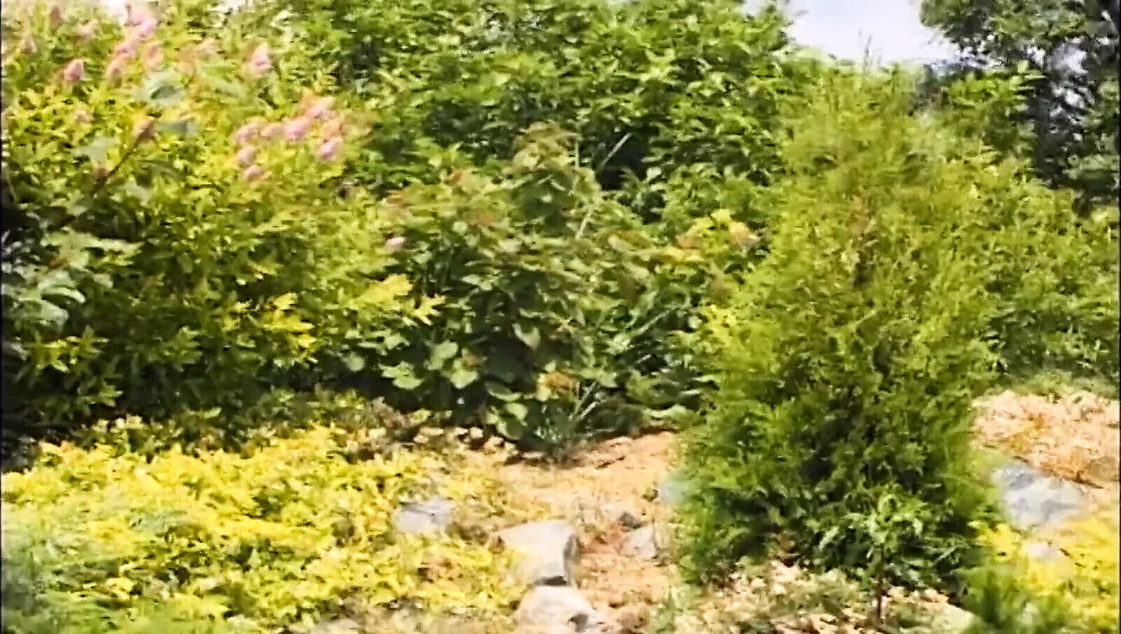 Gaertner fickt notgeile Milf waehrend seiner Arbeitszeit