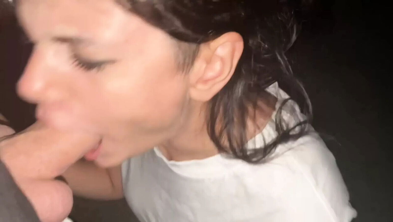 FELLOW TRAVELER sucked ROAD