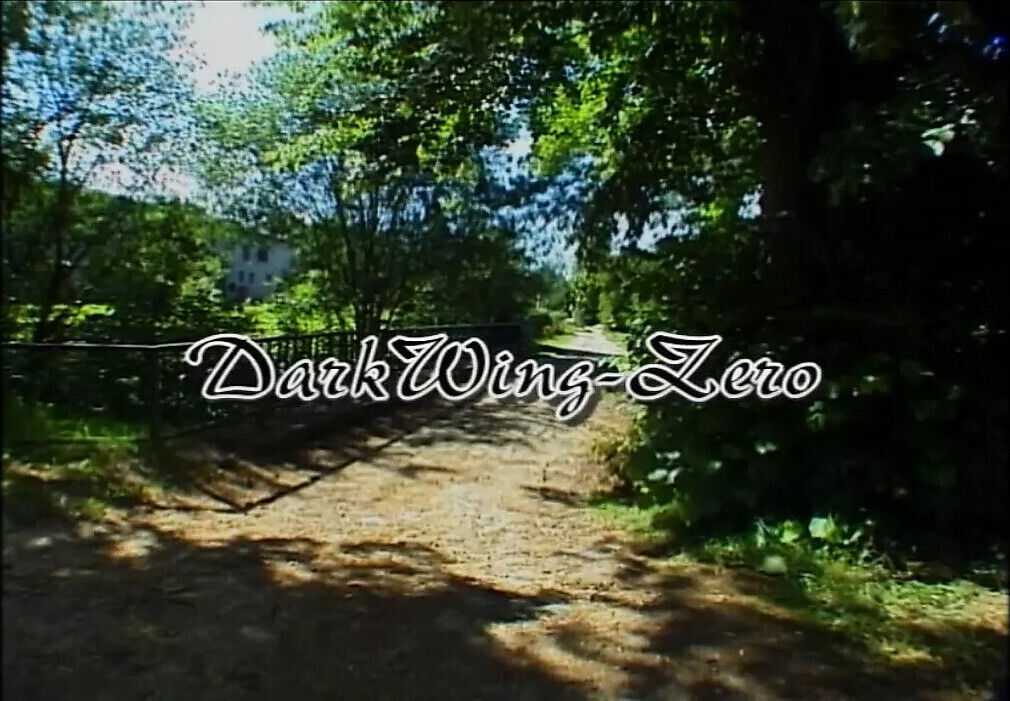 BDSM-Verrucktheit (Full Movie)