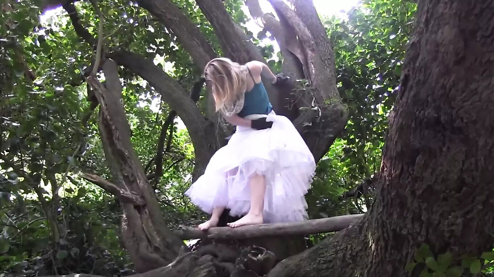 crazy slut climbs tree wildly rubs pussy branch