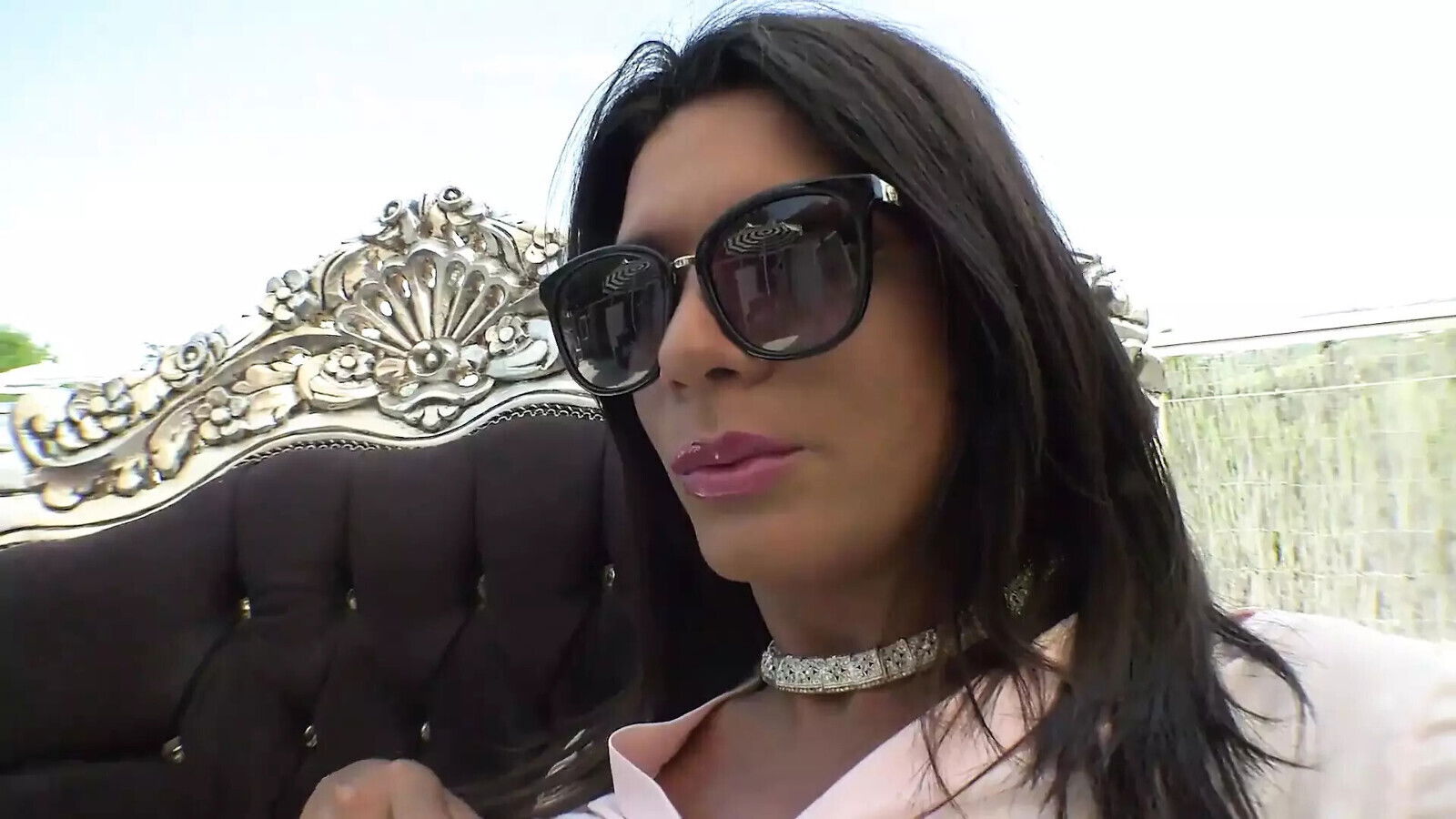 hard Transgender Bitch Episode