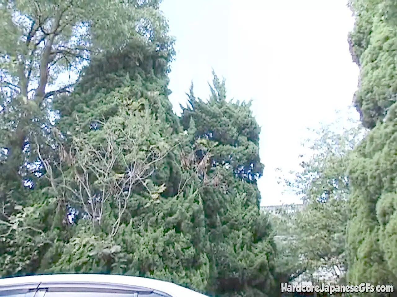 Smoking office slut gets pussy pummelled