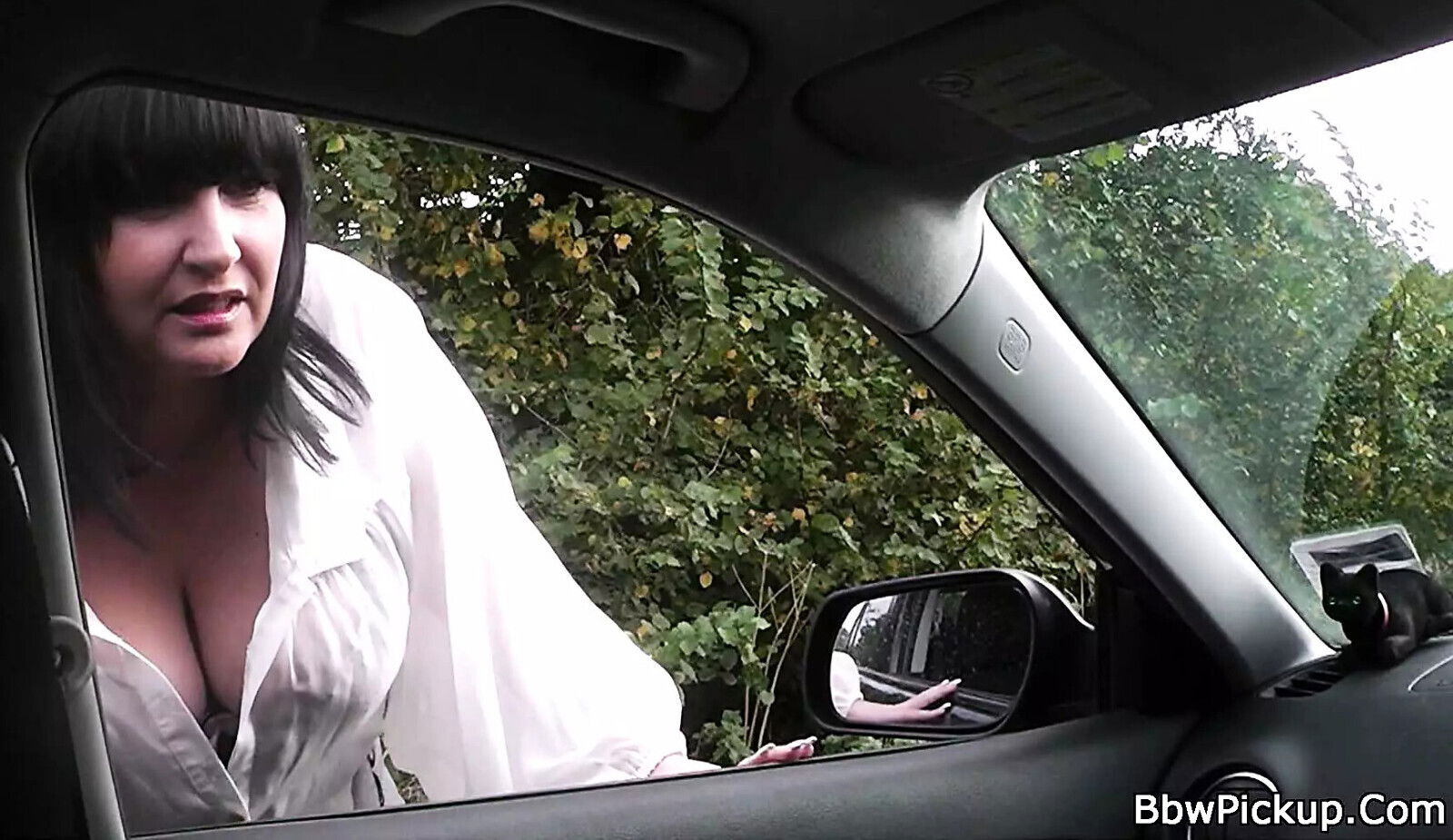 Hitchhiking giving head riding