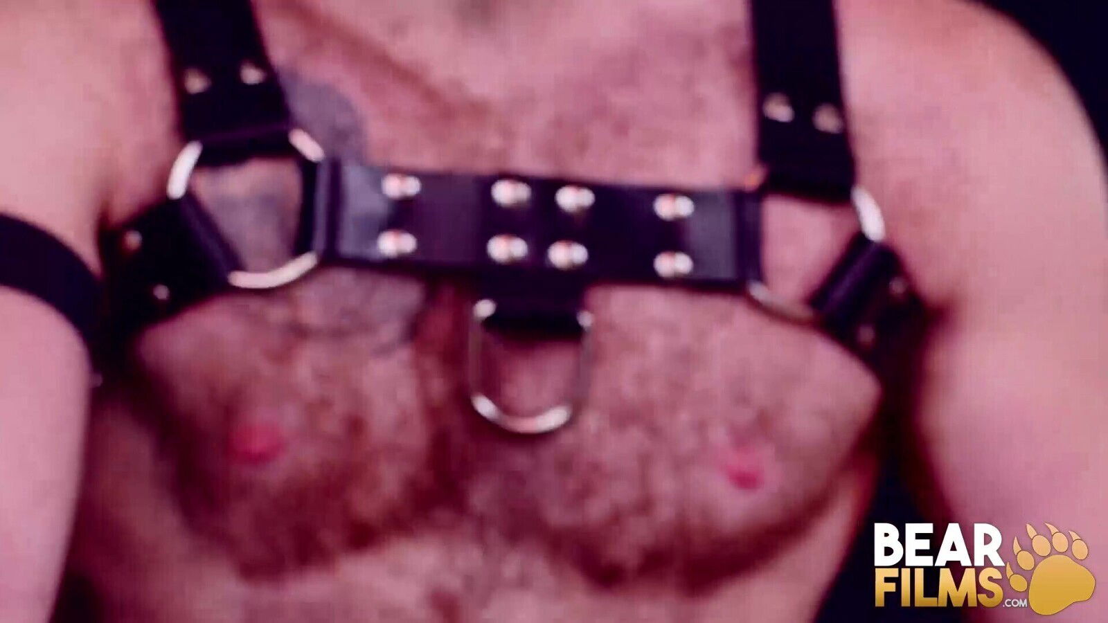 BEARFILMS Bears Sean Knight And Scotty Rage Bareback Roughly