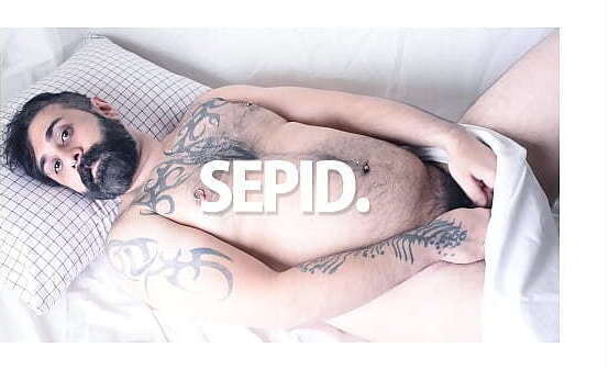 SEPID. FREE. FREEDOM.