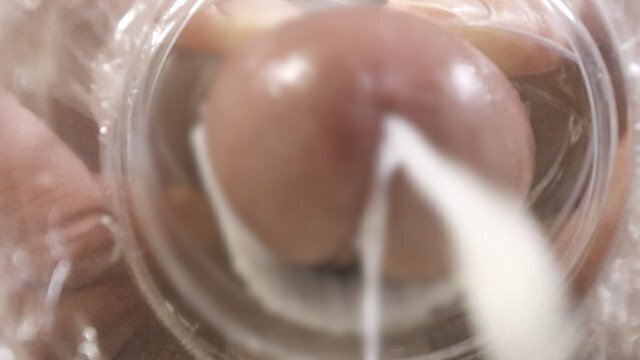 【女性向け】ジャニ系男子の中出しを子宮から観る、ぶっかけ擬似体験【個人撮影】イケメン オナニー 強制中出し風