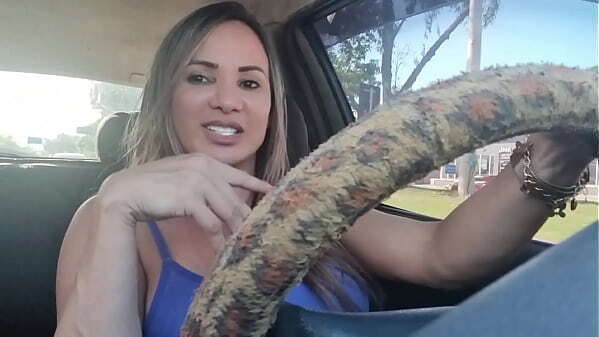 assistir copa casa amigo colorido.