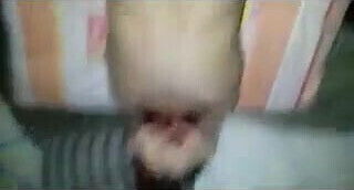 Persian Slut Gets Fucked