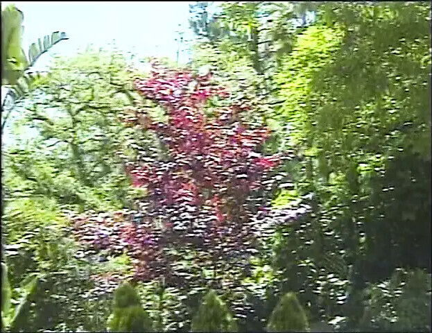 Marvellous ebony chick gets fucked lounger near pool