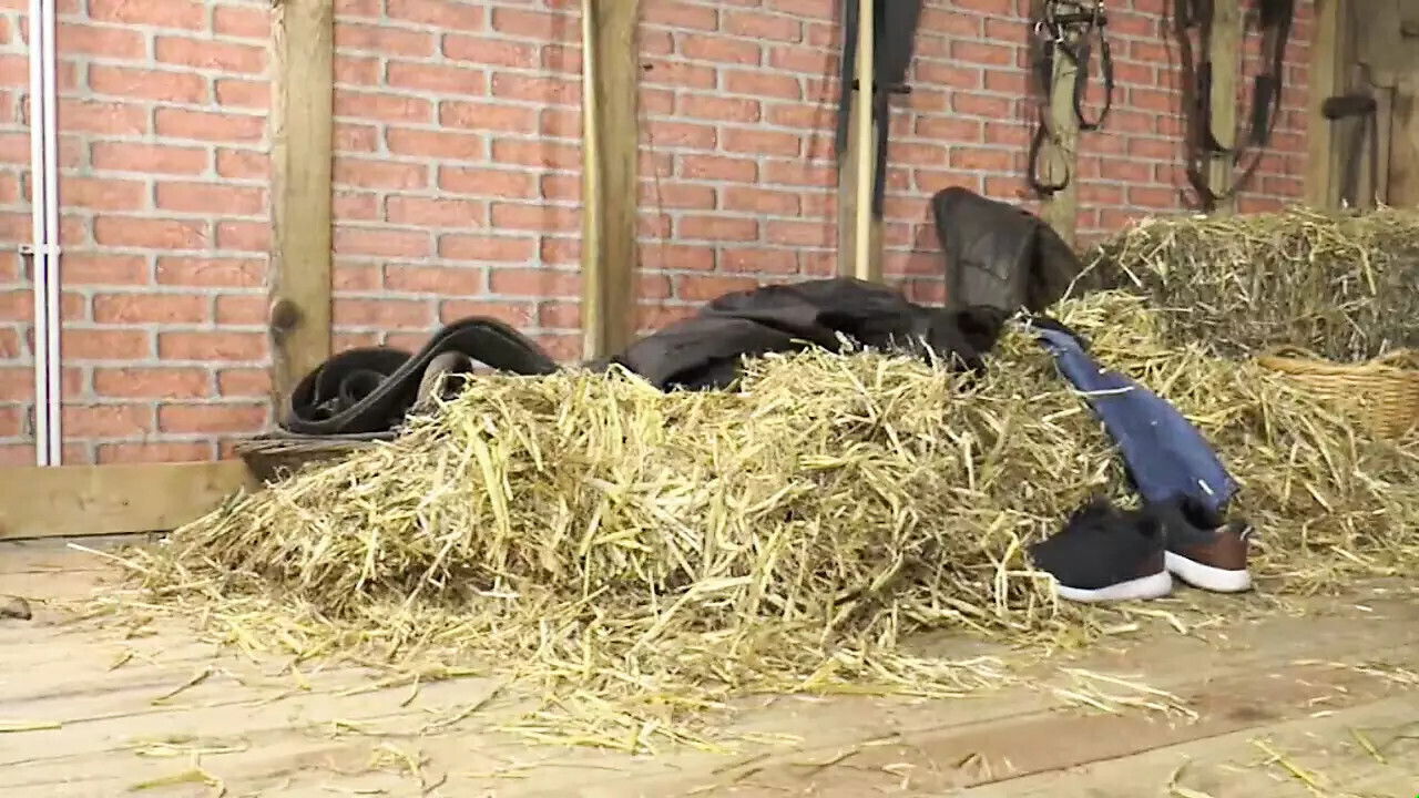 3681 Sexy Ihre perversen Escort Girls Episode