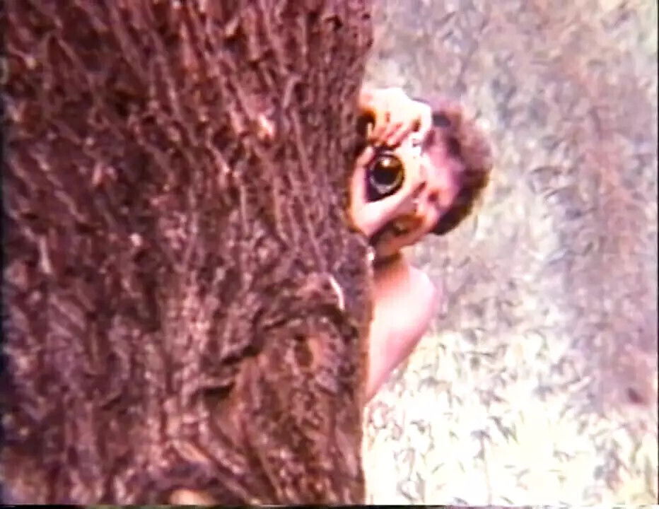 Wild Bang Bang Episode