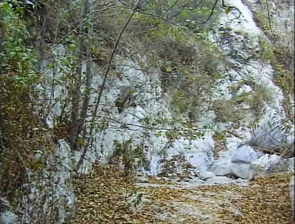 Story Tales Vol.2 Episode