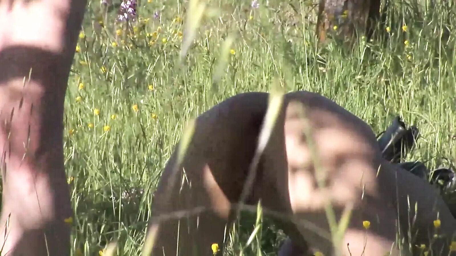 ZOCCOLISSIME!!! racconto