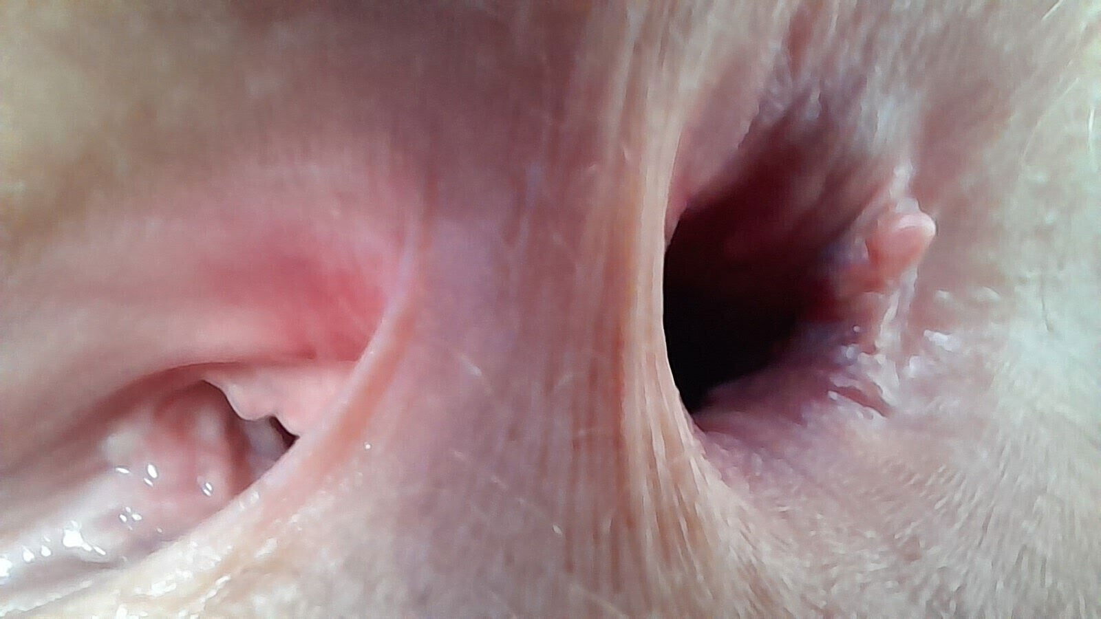 When gape, studio smell