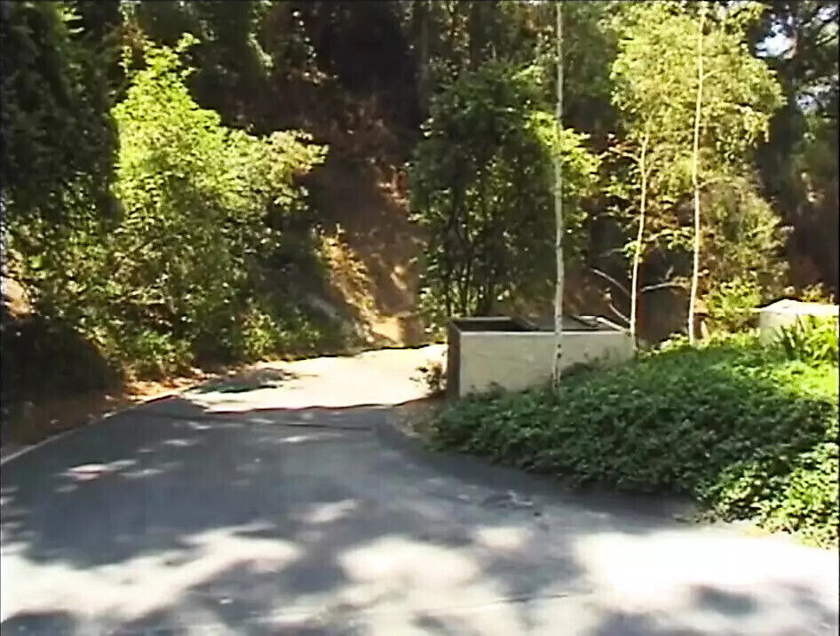 Wild Bang Bang Vol.2 Episode