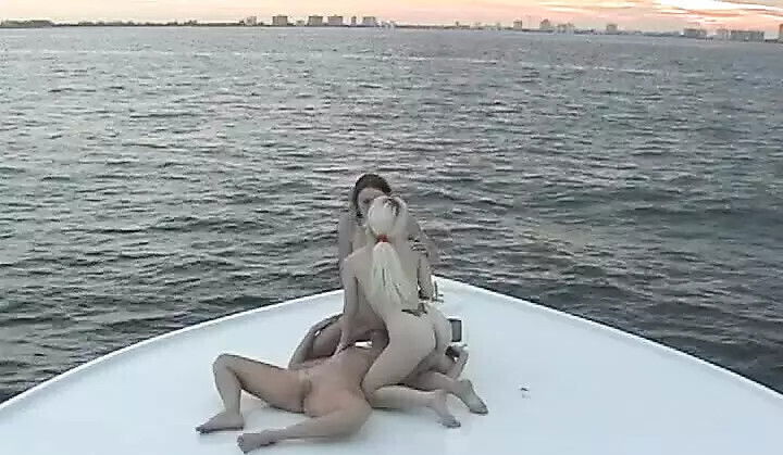 three pussies playing with their shells