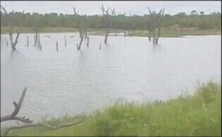 Safari tourist wife gangbang