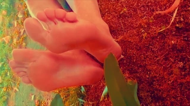 PRISCILAS MILF SOLES