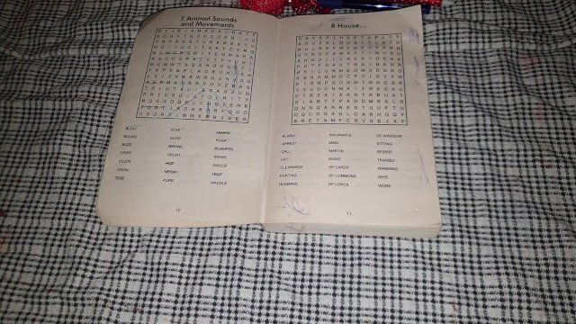 More Animal Sounds Movements