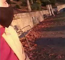 stranger from park comes house because wants