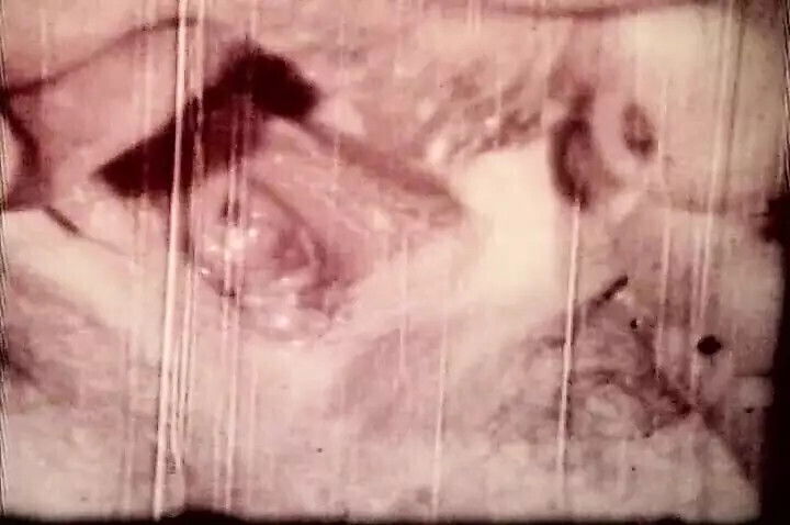 JOHN HOLMES RIDES AGAIN (Full Movie)