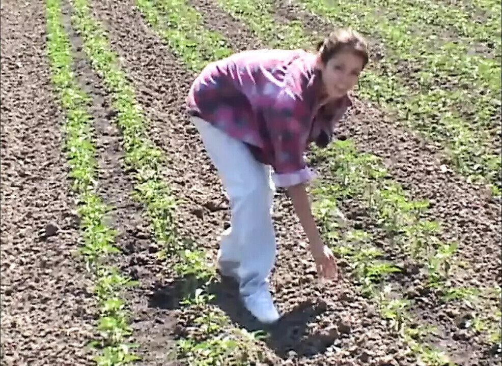 Take Love!!! (the original!!!) CHAPTER