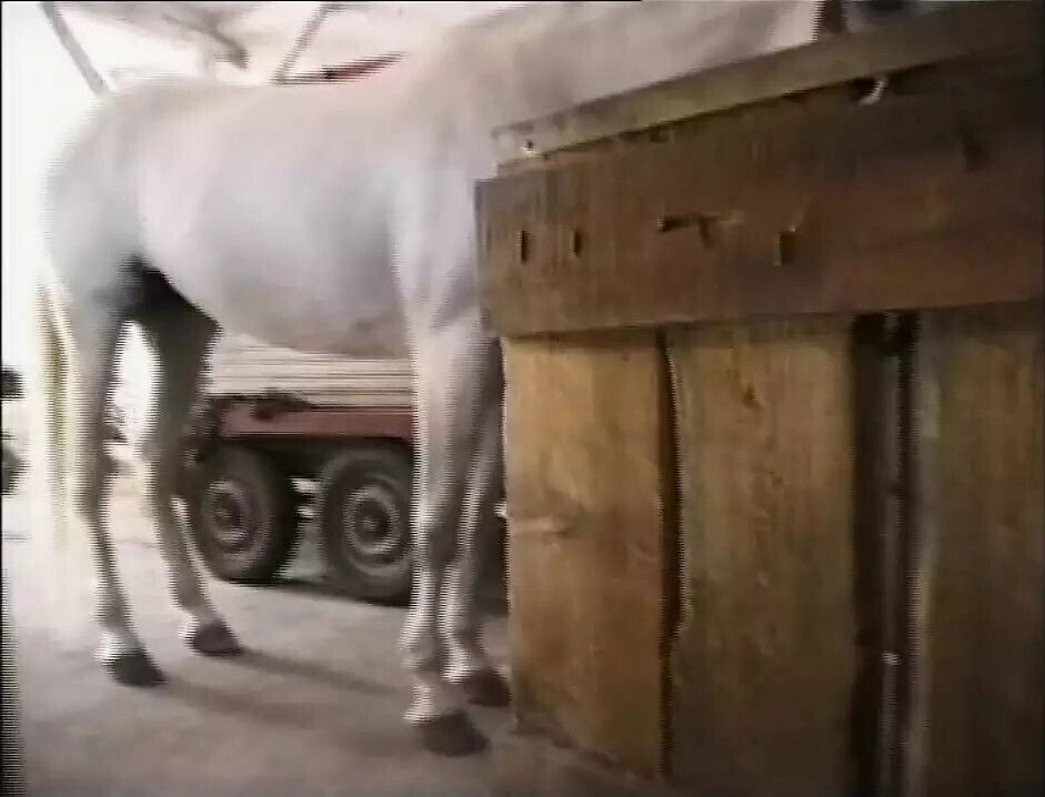 Rocco's Sexual Superstars Episode