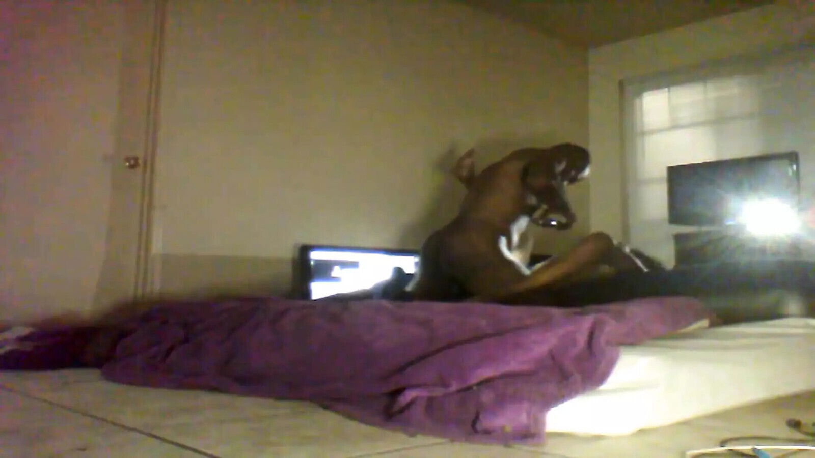 Sexy Caramel Hood Milf Stops Some