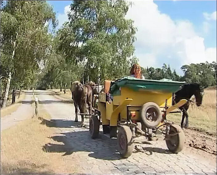 sweet teen lies naked meadow fingers vagina sunshine