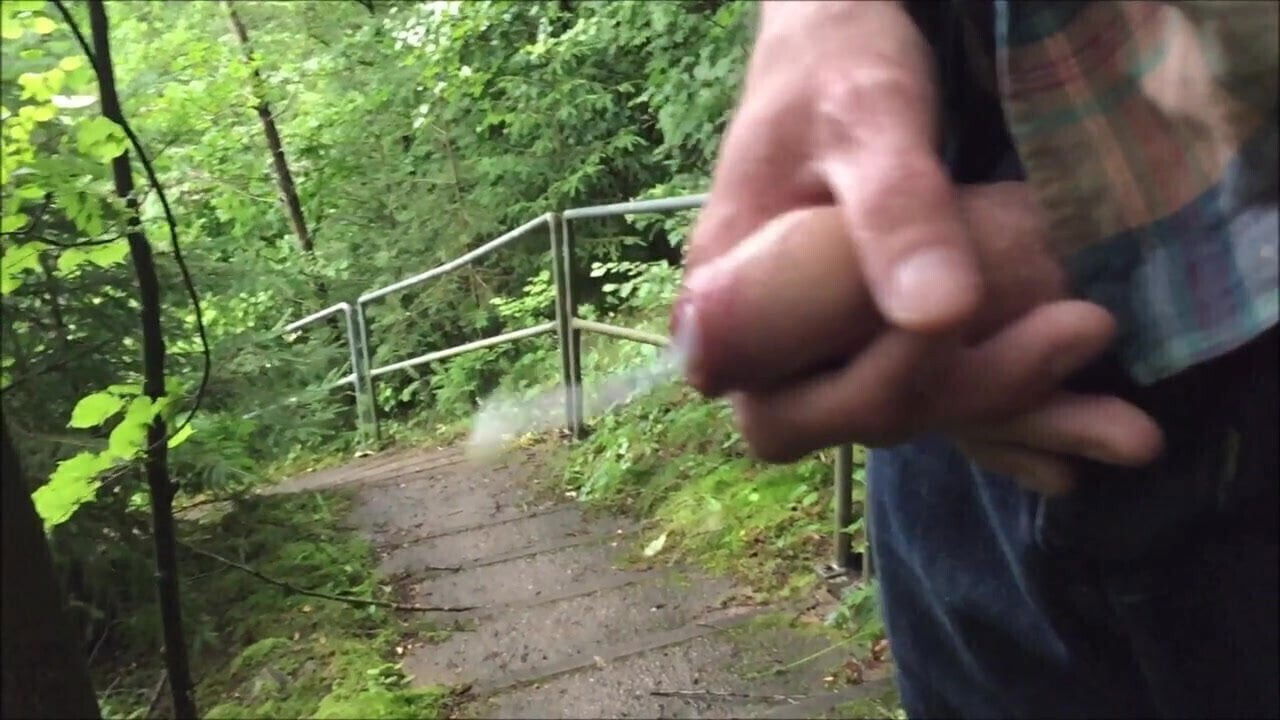 Spritzen Natur Nature