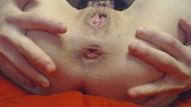 orders lick holes camera