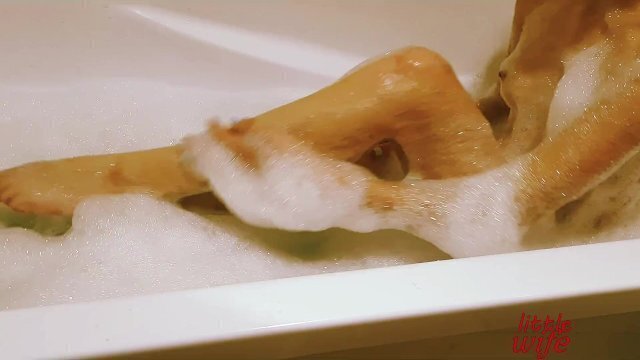 сводную сестру ванной Littlewife