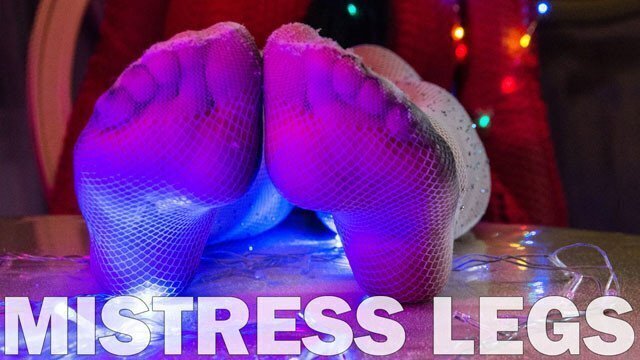 Legs White Fishnet Pantyhose Holidays