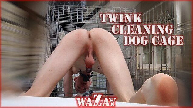 Twink Cleaning Cage