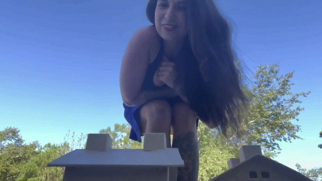 Tiny Village Crushed