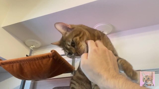 Lovey-dovey days with beautiful pussy