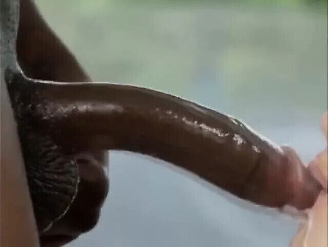 Focusing Black Dick
