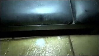 Bred in porn theater