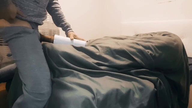 étalon français Baise LEVRETTE JOUIS Geyser