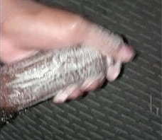 Masturbation Massage sloppy