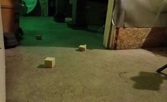 Test-Crushing With My New Boots