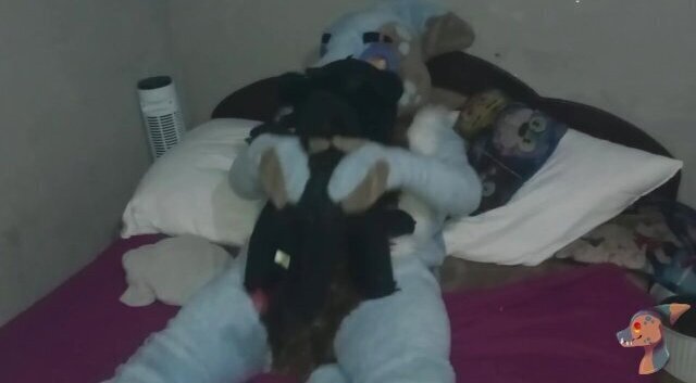 shark play with plush dragon! MACH CUUM!!!!