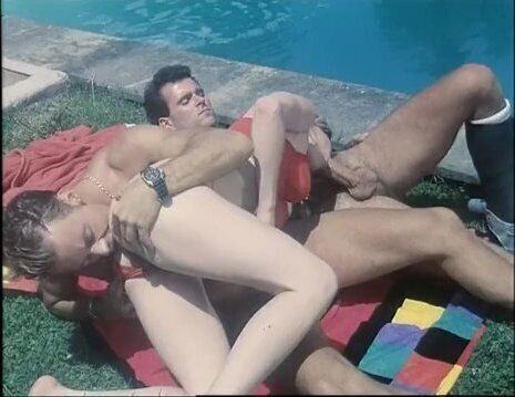 Cocks Company (The Best Scene Restyling Version)