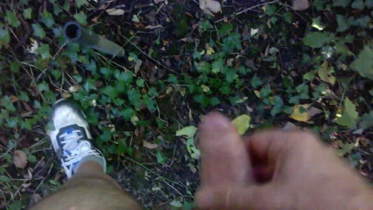 Branle et sodo dans la nature