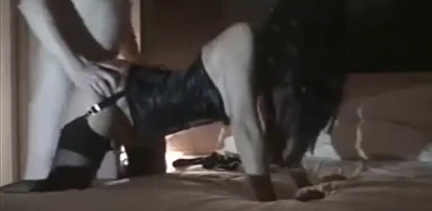 levrette d une belle brune en guépiére sexy