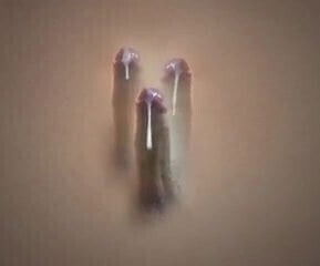 trypophile three kings.